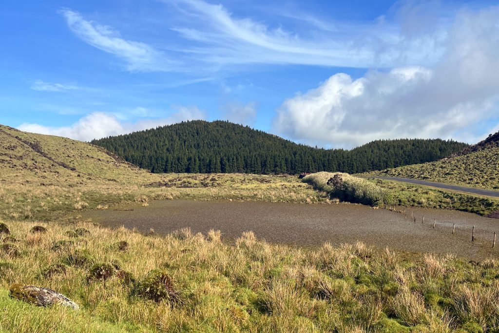 Orchards and Forest Gardens