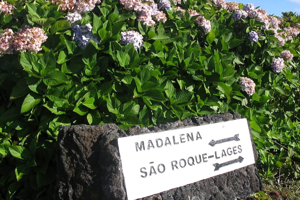 Residency and Emigration