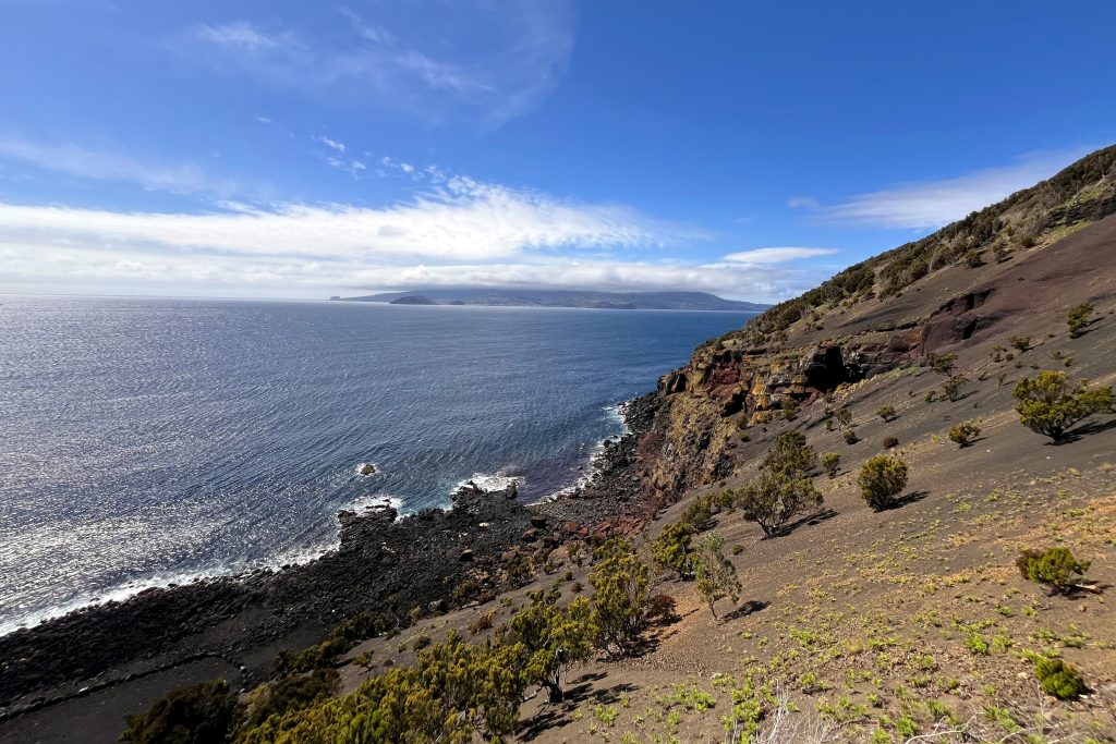 Housing and Accomodation